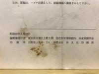 ちりぼたん