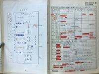 世界史のプラズマ整理 : 図解・表解による