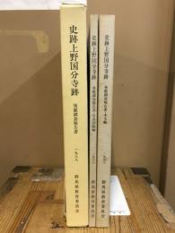 史跡上野国分寺跡発掘調査報告書