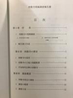 西隆寺発掘調査報告書