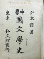 中學國文學史