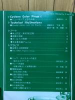 航空ジャーナル　1957年3月号　太平洋航空戦