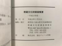 埋蔵文化財調査概要
