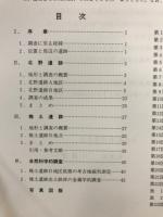 北野遺跡・椎土遺跡 : 緊急発掘調査概要