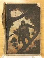 怪奇境探檢記