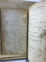 偏微分方程式　その理論と応用