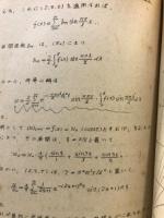 偏微分方程式　その理論と応用