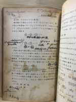偏微分方程式　その理論と応用