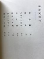 神変天狗侍