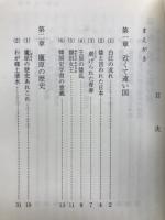 白村江の戦