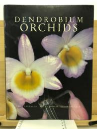 Dendrobium Orchids