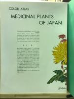 日本の薬用植物　彩色写生図