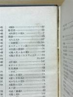 世界現代詩辞典
