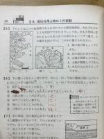 三段式理科問題集