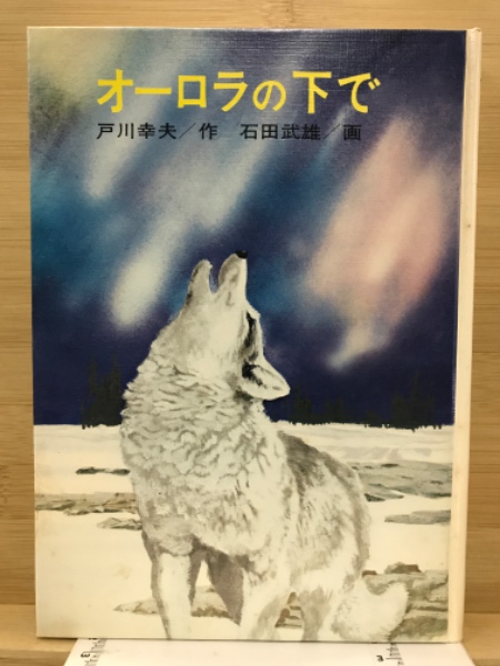 オーロラの下で (1979年) (フォア文庫) Amazon.com: オーロラの下で (1979年) (フォア文庫): 戸川幸夫