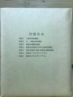 淡路・志知川沖田南遺跡（兵庫県文化財調査報告書４０）
