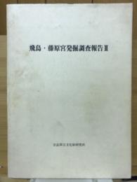 飛鳥・藤原宮発掘調査報告Ⅲ