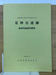 荒神谷遺跡　銅剣発掘調査概報