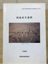 岡部条里遺跡：埼玉県岡部町埋蔵文化財調査報告書第3集
