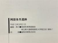 岡部条里遺跡：埼玉県岡部町埋蔵文化財調査報告書第3集
