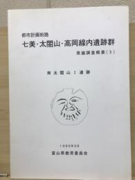 都市計画街路七美・太閤山・高岡線内遺跡群発掘調査概要〈3〉