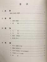 平城京左京三条二坊三坪発掘調査報告