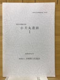 推定布勢駅家跡 子犬丸遺跡Ⅰ