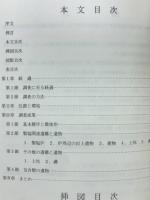 淡輪箱作海岸整備事業に伴う　山田海岸遺跡発掘調査報告書
