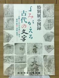 よみがえる古代の文字　近畿出土の文字資料が語る都城・郡衙・寺院・集落