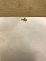 財界観測