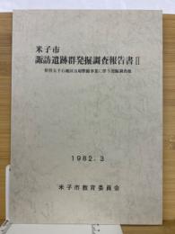 米子市諏訪遺跡群発掘調査報告書２