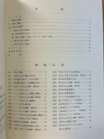 米子市諏訪遺跡群発掘調査報告書２