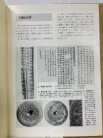 よみがえる古代の文字 : 近畿出土の文字資料が語る都城・郡衙・寺院・集落