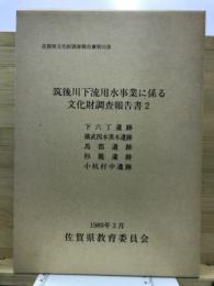 佐賀県文化財調査報告書