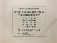 佐賀県文化財調査報告書
