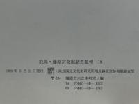 飛鳥・藤原宮発掘調査概報19
