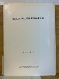 富田茶臼山古墳発掘調査報告書