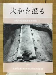 大和を掘る　1982年度発掘調査速報展3