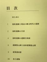 桜町遺跡 : 縄文の森に吹く風を感じて