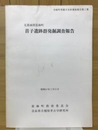 首子遺跡群発掘調査報告