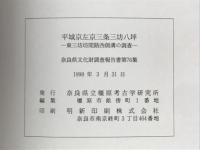 平城京左京三条三坊八坪　東三坊間路西側溝の調査