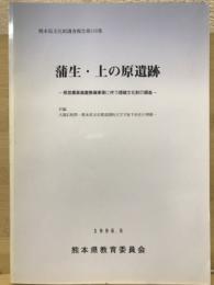蒲生・上の原遺跡 「熊本県文化財調査報告第１５８集」

