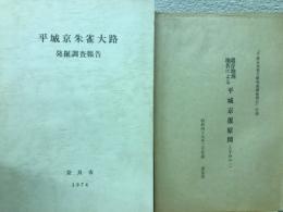 平城京朱雀大路発掘調査報告