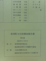 中原遺跡 ＜夜須町文化財調査報告書 夜須地区遺跡群 第55集 28＞