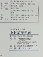 下村加茂遺跡　弥生前期の木製品と中世館跡等の調査