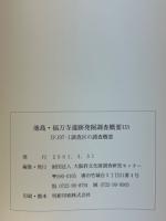 池島・福万寺遺跡　発掘調査概要25 - IFJ97-1調査区の調査概要