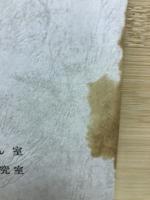 垂水遺跡第1次発掘調査概報　大阪府吹田市垂水町
