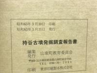 持谷古墳発掘調査報告書
