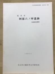 桜井市　阿部六ノ坪遺跡発掘調査概報
