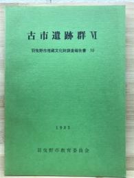 古市遺跡群　Ⅵ　羽曳野市埋蔵文化財調査報告書10
